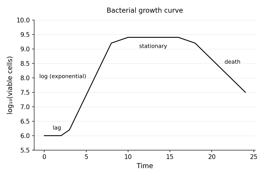 Bacterial growth curve: log(viable cell number) vs. time, showing the lag, exponential (log), stationary, and death phases.