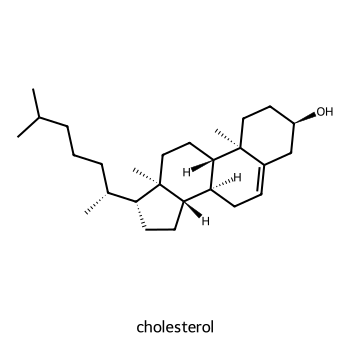 Cholesterol: the four-fused-ring steroid nucleus (three six-membered rings A/B/C + one five-membered ring D) with a C-3 hydroxyl, a C5–C6 double bond, and a branched hydrocarbon side chain at C-17.