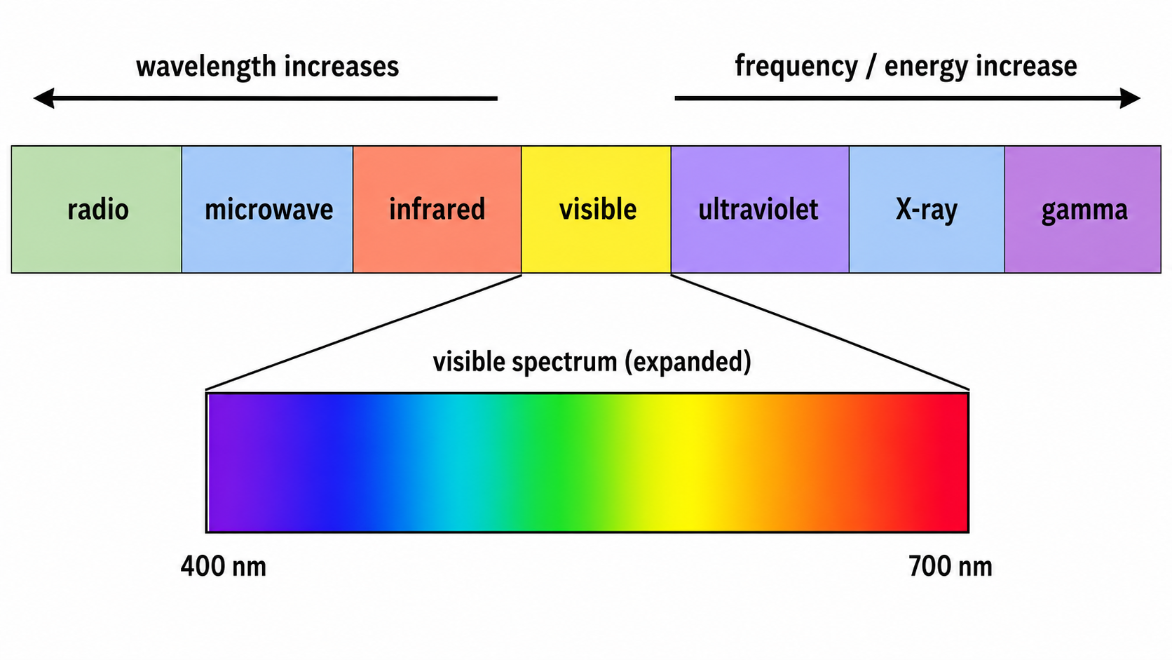 The electromagnetic spectrum from radio (longest wavelength, lowest energy) to gamma rays (shortest wavelength, highest energy), with the narrow visible band (~400–700 nm) expanded to show ROYGBIV.