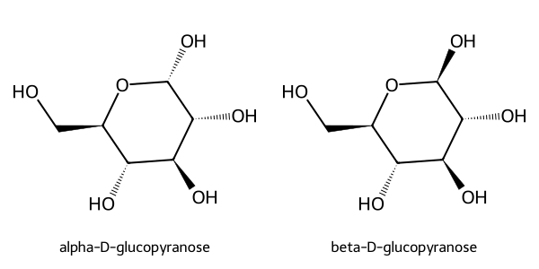 Haworth projections of α-D-glucopyranose (C1 –OH down) and β-D-glucopyranose (C1 –OH up); the anomeric carbon is the only point of difference.