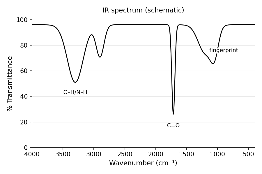 Schematic IR spectrum (%transmittance vs. wavenumber, 4000→400 cm⁻¹) marking a broad O–H/N–H stretch near 3300, C–H near 2900, a strong sharp C=O dip near 1715, and the busy fingerprint region below ~1500 cm⁻¹.