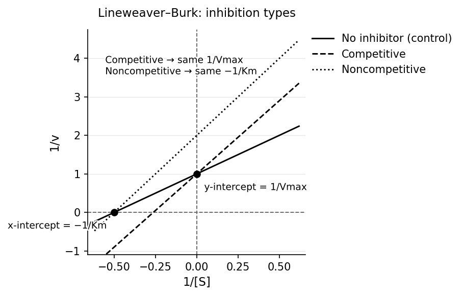 Lineweaver-Burk signatures of the four inhibition types vs. the uninhibited control.