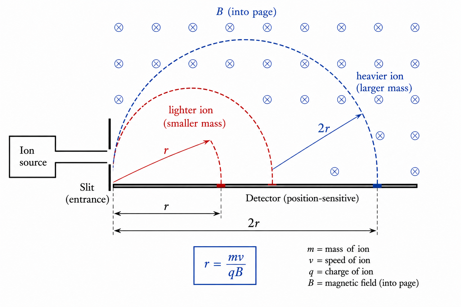 Mass spectrometer: lighter ions curve to a smaller radius than heavier ions, separating on the detector at distance 2r.