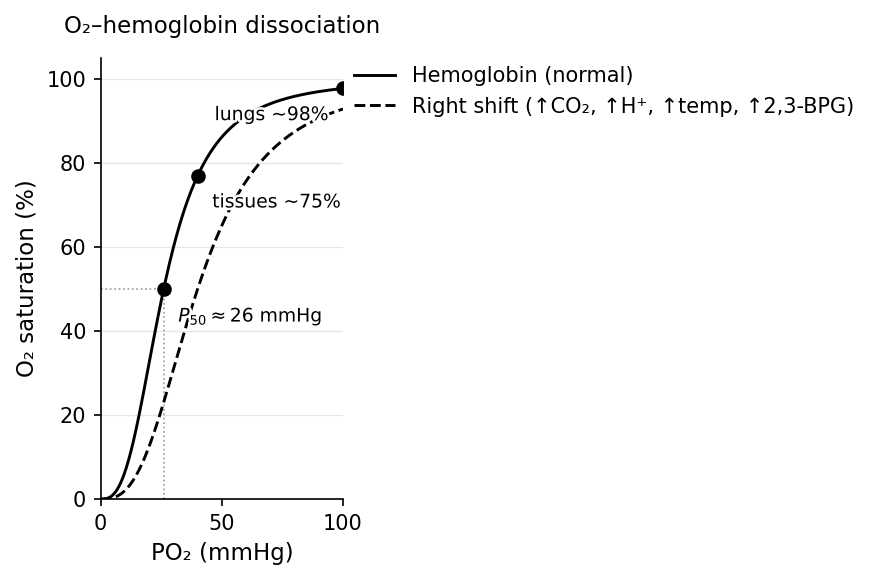 Oxygen–hemoglobin dissociation curve: sigmoidal saturation vs. PO2, with a rightward Bohr shift.