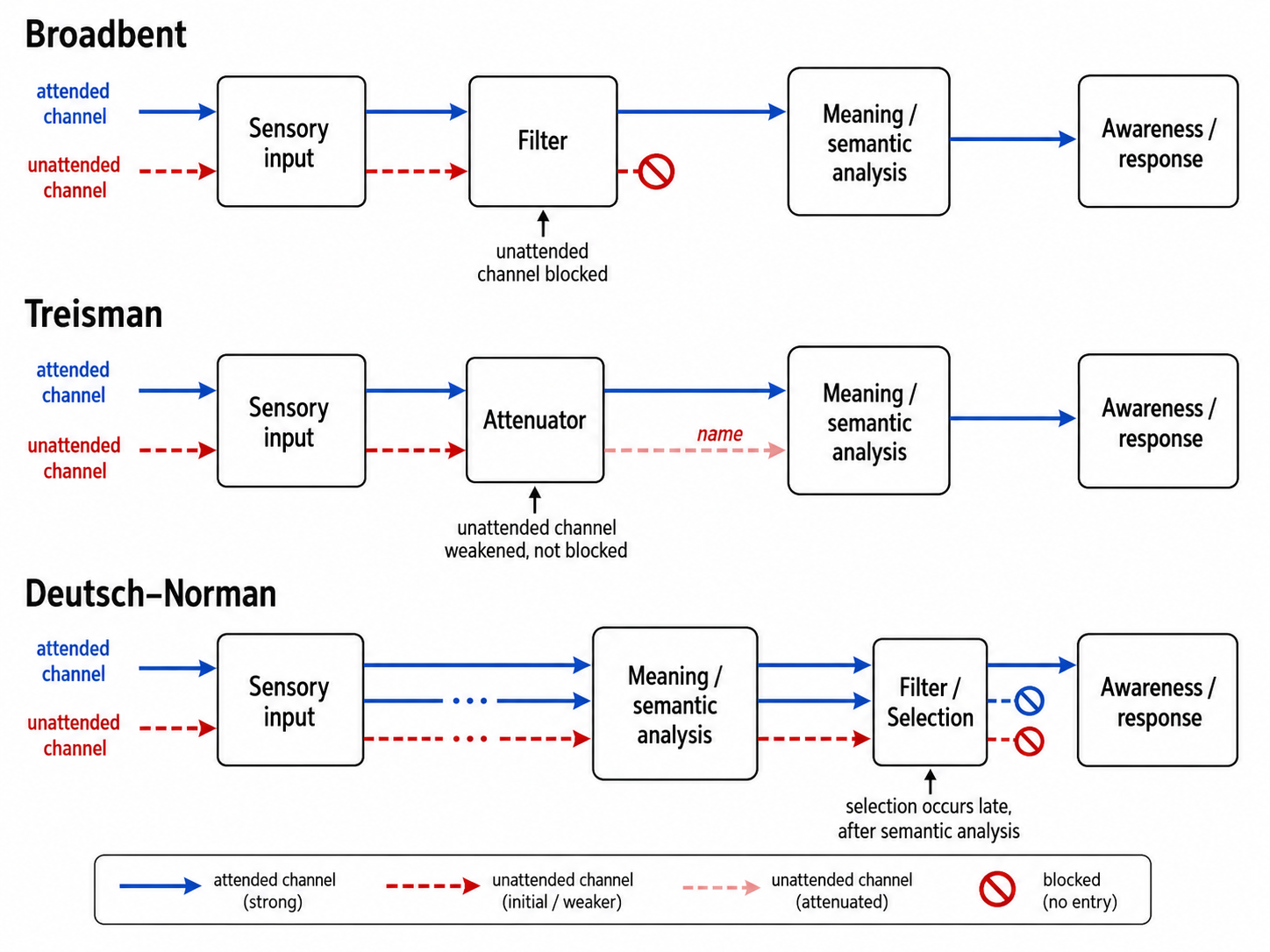 Where each model places the attentional filter: Broadbent's early filter (blocks the unattended channel before meaning), Treisman's attenuator (weakens but does not block, so low-threshold words like one's name still get through), and the Deutsch-Norman late filter (all channels fully analyzed for meaning, selection occurs at response).