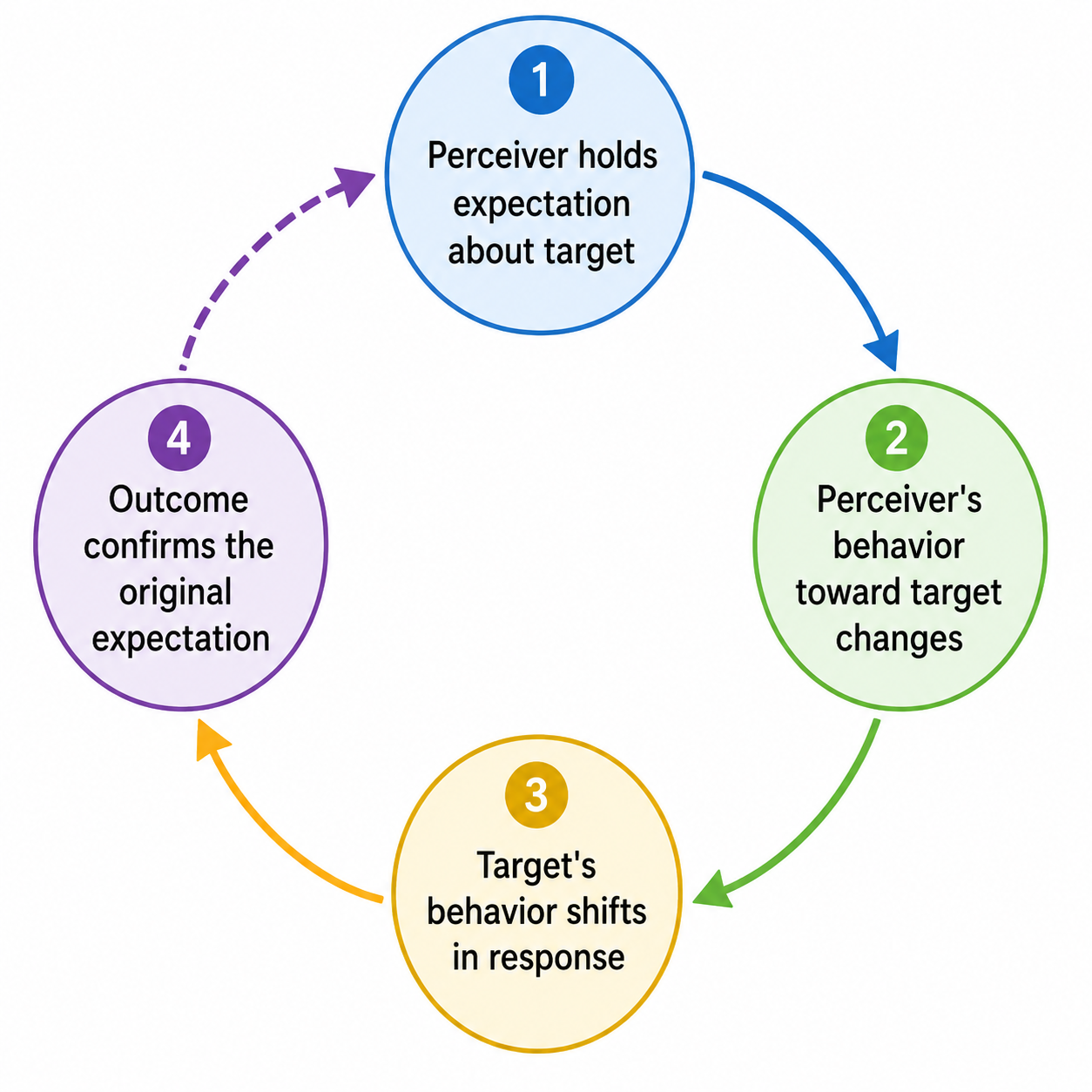 The self-fulfilling prophecy as a closed feedback loop: an (initially false) expectation alters the perceiver's behavior, which shapes the target's behavior, whose outcome appears to confirm the original expectation.